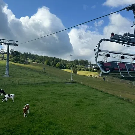 Jagdschloesschen 3* Willingen (Upland)