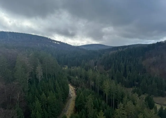 Jagdschloesschen Bed & Breakfast 3*