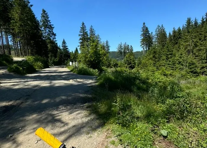 Jagdschloesschen Willingen (Upland)